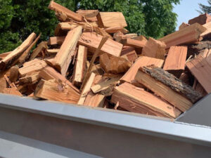 woodtruckfocus