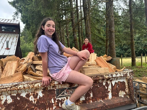 princesses of firewood
